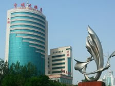 ɽ��������